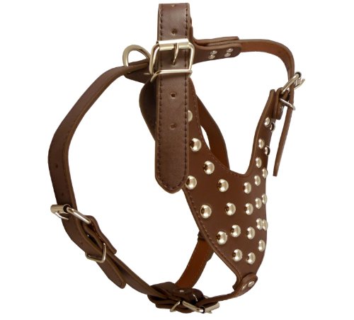 Image #4 of Studded Brown Leather