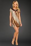 Ombre Short Sleeve Dress