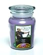 Lilac Filled Jar Candle, Made with Soy Wax