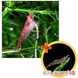 ���i�̏ڍ�