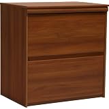 Ameriwood Expert Plum Lateral File