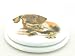 aniba Design Lunette WC Chien-Chat - Amorti (Soft close)