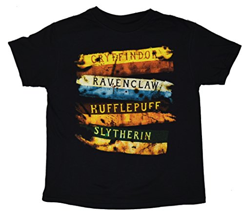 Harry Potter Gryffindor School Stripes Boys Kids T-shirt