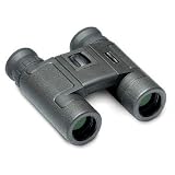 Brunton