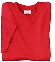 Hanes 50/50 Blend Heavyweight T-Shirt