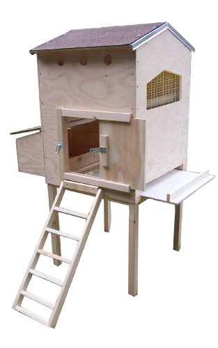 Creative Coops Hen House Starter Kit, Small