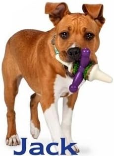 Premier Busy Buddy Jack - Large