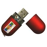 2GB USB 2.0 Flashdrive / Thumbdrive (Red) By BagNow