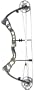 Diamond By Bowtech Dia Ross Carnivore 31 70# Rh Ap Md.# 411177