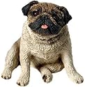 Magnet - Pug, Fawn