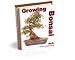 Growing Bonsai