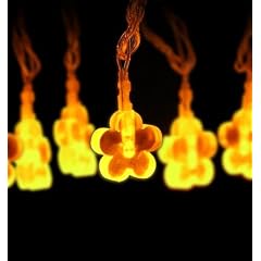 IOIO LED Lichterkette 5m mit 20 LEDs, Form:Blume