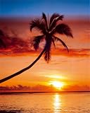 Paradise (Sunset & Palm Tree) Art Poster Print - 16 X 20