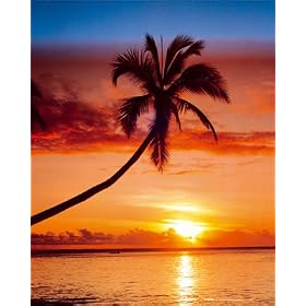 Paradise (Sunset & Palm Tree) Art Poster Print - 16