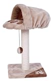 Cat Walk Athens Cat Climber