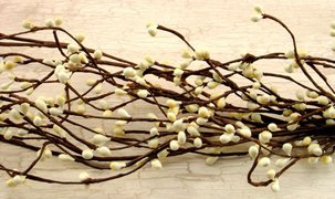 Cwi gifts pip berry garland, 4-feet, ivory/vanilla