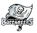 Tampa Bay Buccaneers NFL Silver Auto Emblem