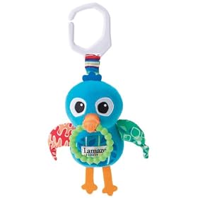 Lil Polly Bird