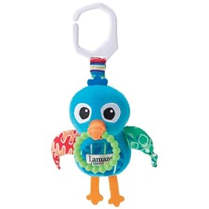 Lil Polly Bird by Learning Curve