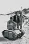 Canvas Print, US Navy Examines Nazi Beetle - 20x30
