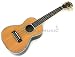 Lanikai Custom Series Concert Ukulele - Solid Cedar Top Lanikai Custom Series Concert Ukulele - Solid Cedar Top