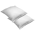 2 Pack Memory Foam Pillow