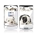 Lazy Days Design Protective Skin Decal Sticker for Motorola RAZR V3xx Cell Phones