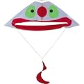 Funny Face Clown Kite