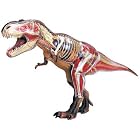 Dinosaur Science Toys