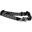 Oakland Raiders Nfl Xsmall Dog Collar 8 1/2 5/8 Wide Hunter H4000or