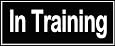 Dean & Tyler in Training Patches - Fits Medium Harnesses - Made From High Quality Nylon with Velcro on the Back - Sells As a Pair - Made in Europe!!!