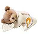 Prince Lionheart Slumber Bear Plus (Cream)