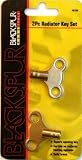 Kitchen & Housewares : Radiator Key 2/Card