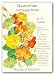 Nasturtium Tall Climbing Single Heirloom Seeds 20 Seeds