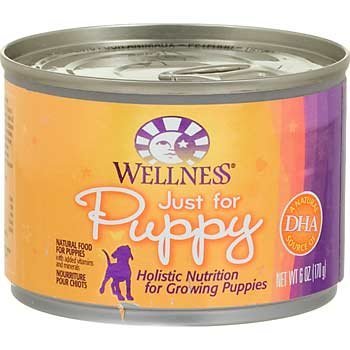 Where to buy Wellness Just for Puppy Chicken and Sweet Potato Canned Puppy Food