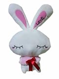 大塚愛　ＬＯＶＥ うさぎ　ファーケープBIG　ぬいぐるみ　ピンク　単品