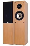 DK digital LS-180 2 Wege Standlautsprecher in Buche - 