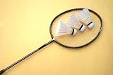 Badminton Racket and Shuttlecocks - 24