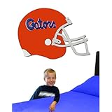 IMAGE OF Florida Gators 3D Football Helmet Art (no stickers)