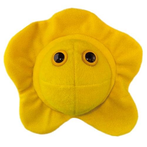 chlamydia