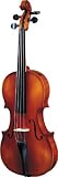 Strunal 260 Student Violin Outfit, 3/4