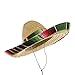 Jacobson Hat Company Men's Sombrero with Serape Band, Multicolor, Child