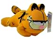 Garfield Mini Plush : Garfield doll - Catnip Plush Cat Toy