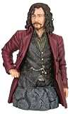 Gentle Giant Harry Potter: Sirius Black Year 5 Mini Bust