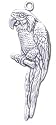 Solid Sterling Silver Parrot Charm