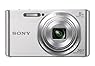 Sony DSCW830 20.1 MP Digital Camera with 2.7-Inch LCD (Silver)