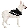 Dog Bandana - White Sox - Small