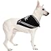 Dog Bandana - White Sox - Small