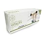 Gaiam Restorative Yoga For Vitality Kit