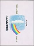 しかられた神さま―川崎洋少年詩集 (詩の散歩道) 画像